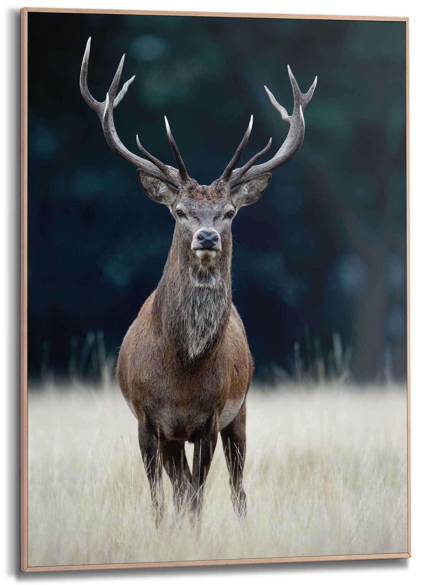 Reinders! Wandbild »Slim Frame Wood 50x70 Deer« von Reinders!