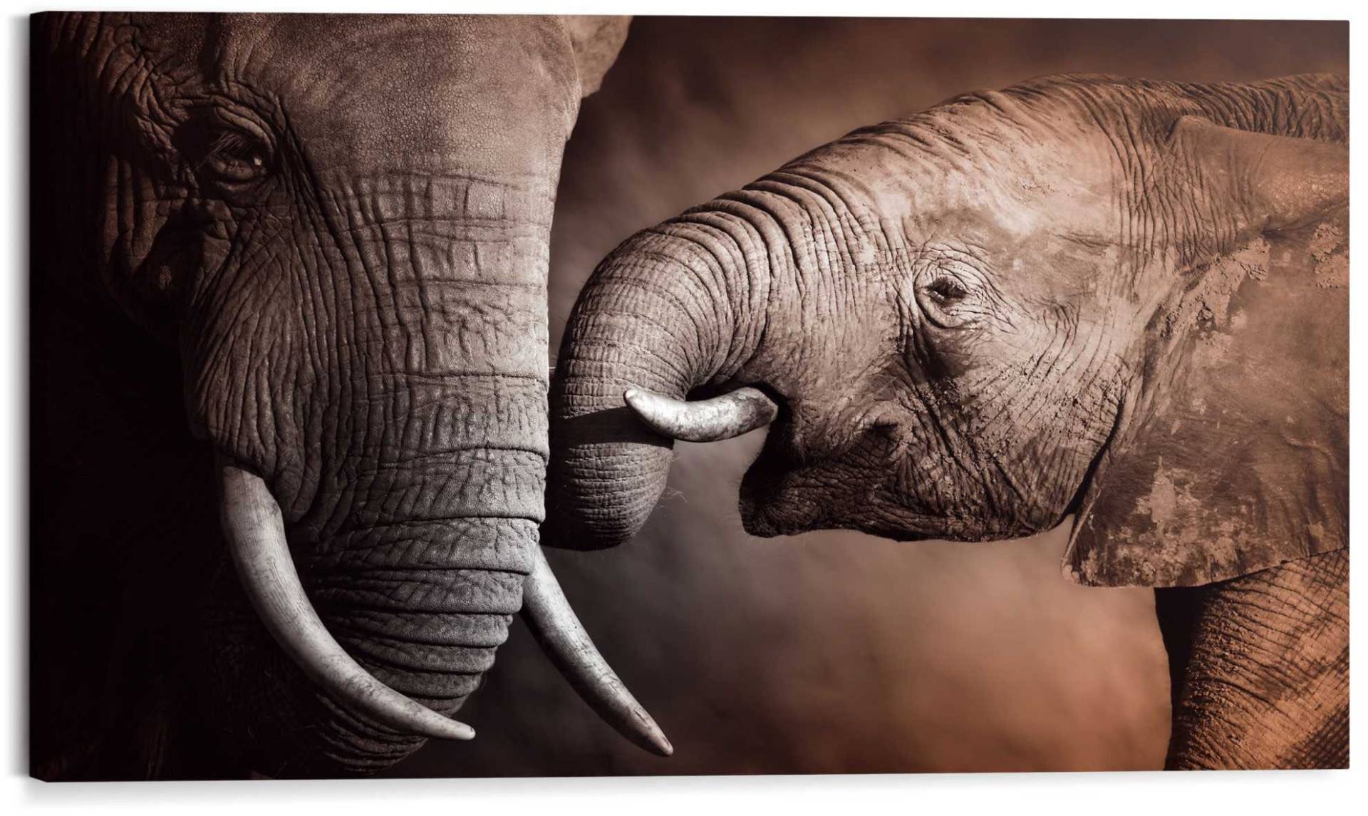 Reinders! Wandbild »Wandbild Elefanten Familie Afrika - Mutterliebe - Rüssel - Stosszähne«, Elefanten, (1 St.) von Reinders!