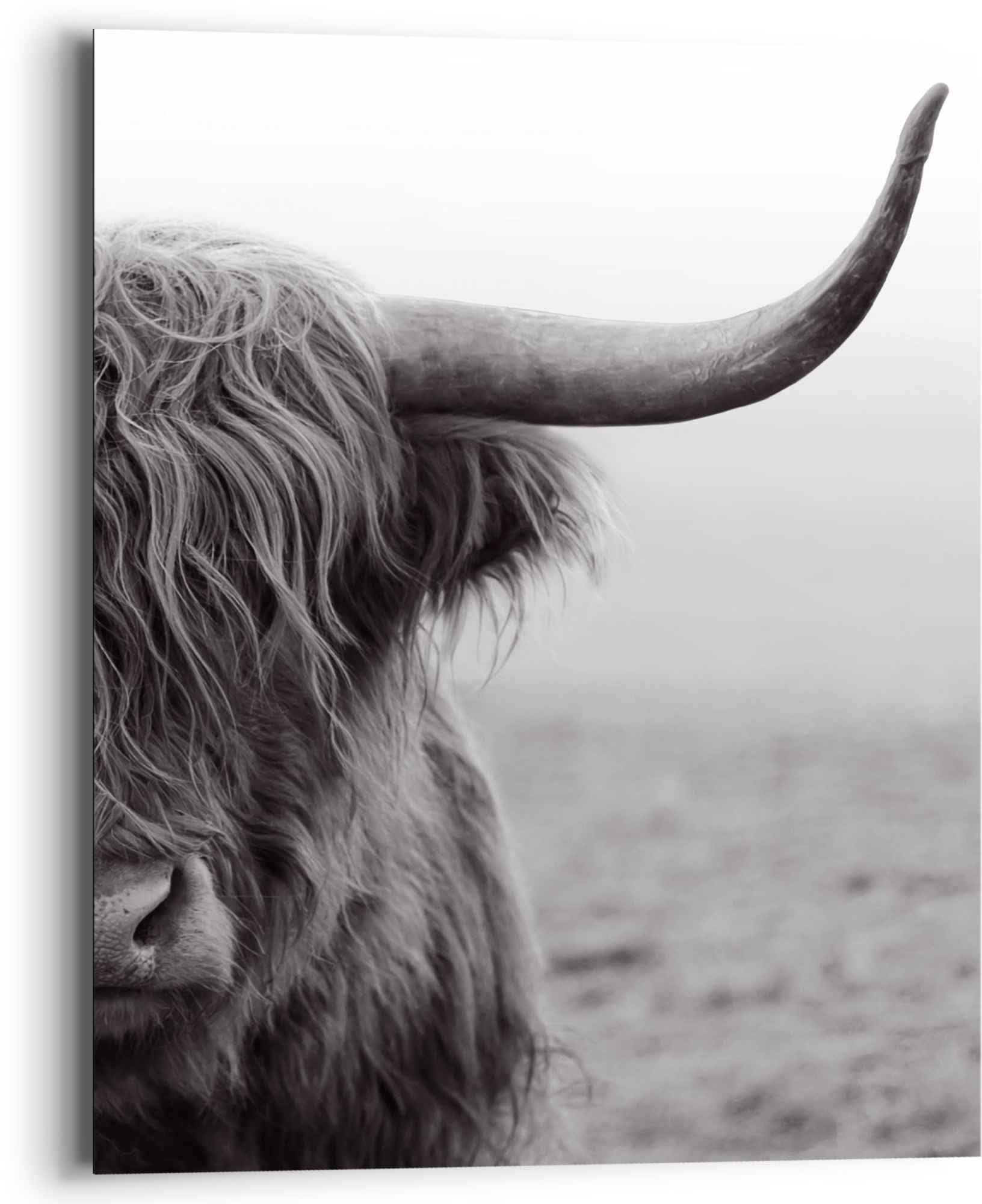 Reinders! Wandbild »Wandbild Highlander Bulle Tiermotiv - Nahaufnahme - Hochlandrind«, Kuh, (1 St.) von Reinders!