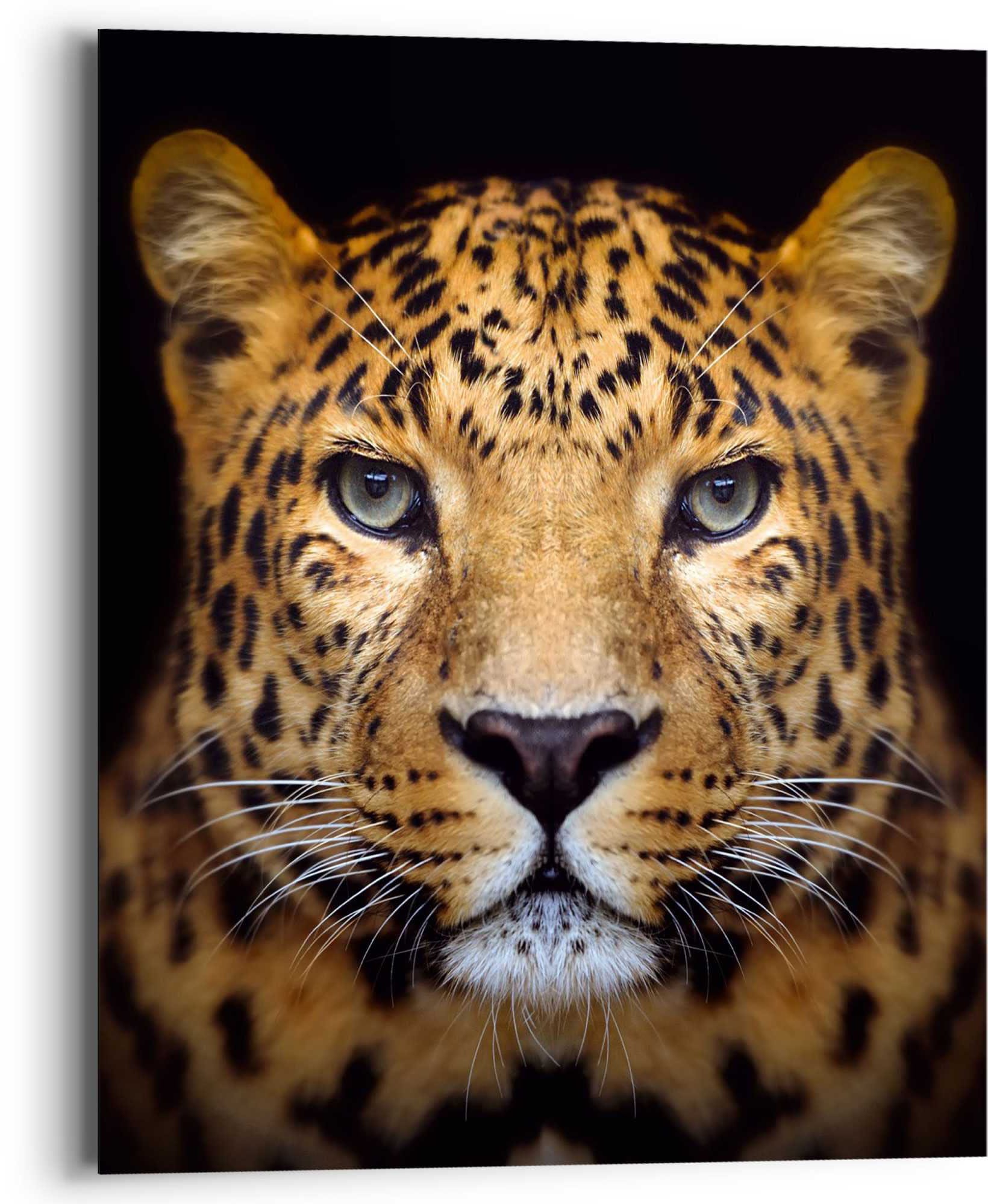 Reinders! Wandbild »Wandbild Leopard Kräftig - Panther - Raubetier - Gefleckt«, Leopard, (1 St.) von Reinders!