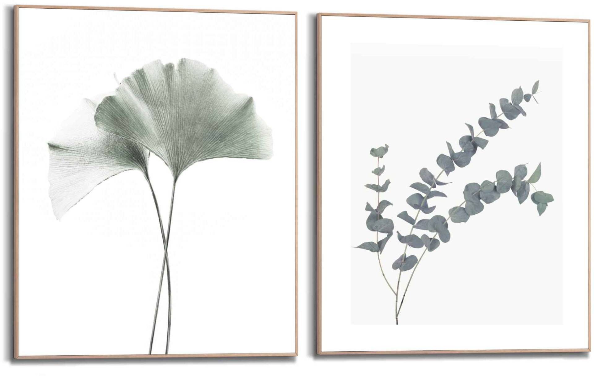 Reinders! Bild mit Rahmen »Eukalyptus blatt Pflanze«, Blätter, (2 St.) von Reinders!