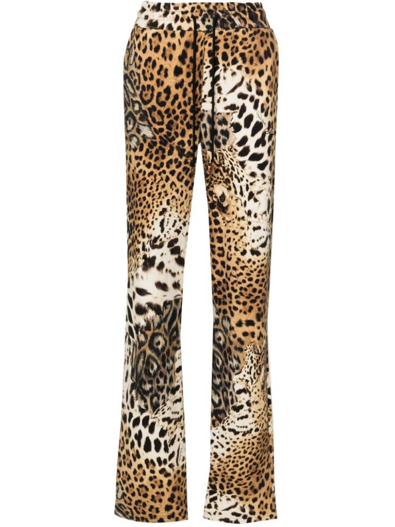 Roberto Cavalli Jaguar Skin-print cotton track pants - Neutrals von Roberto Cavalli