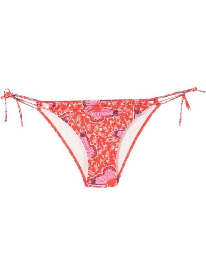 Roseanna Wood Farfalla bikini bottoms - Red von Roseanna