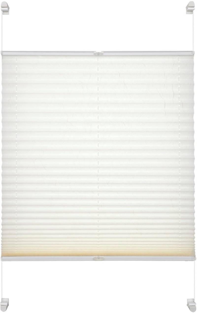 SCHÖNER WOHNEN-Kollektion Plissee »Schöner Wohnen«, Lichtschutz, ohne Bohren, verspannt, mit Klemmträger von SCHÖNER WOHNEN-KOLLEKTION