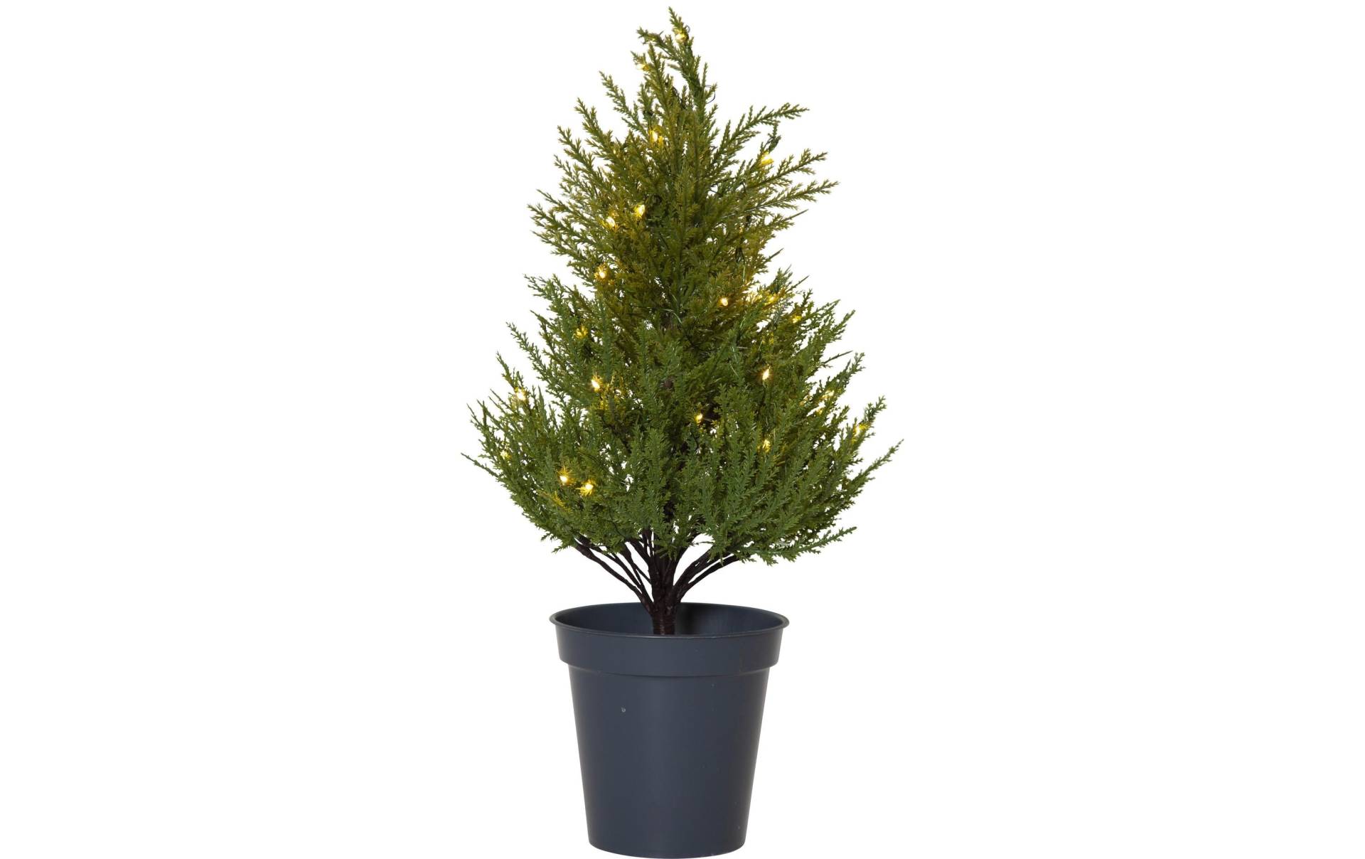 STAR TRADING Dekobaum »Trading Baum Thuja« von STAR TRADING