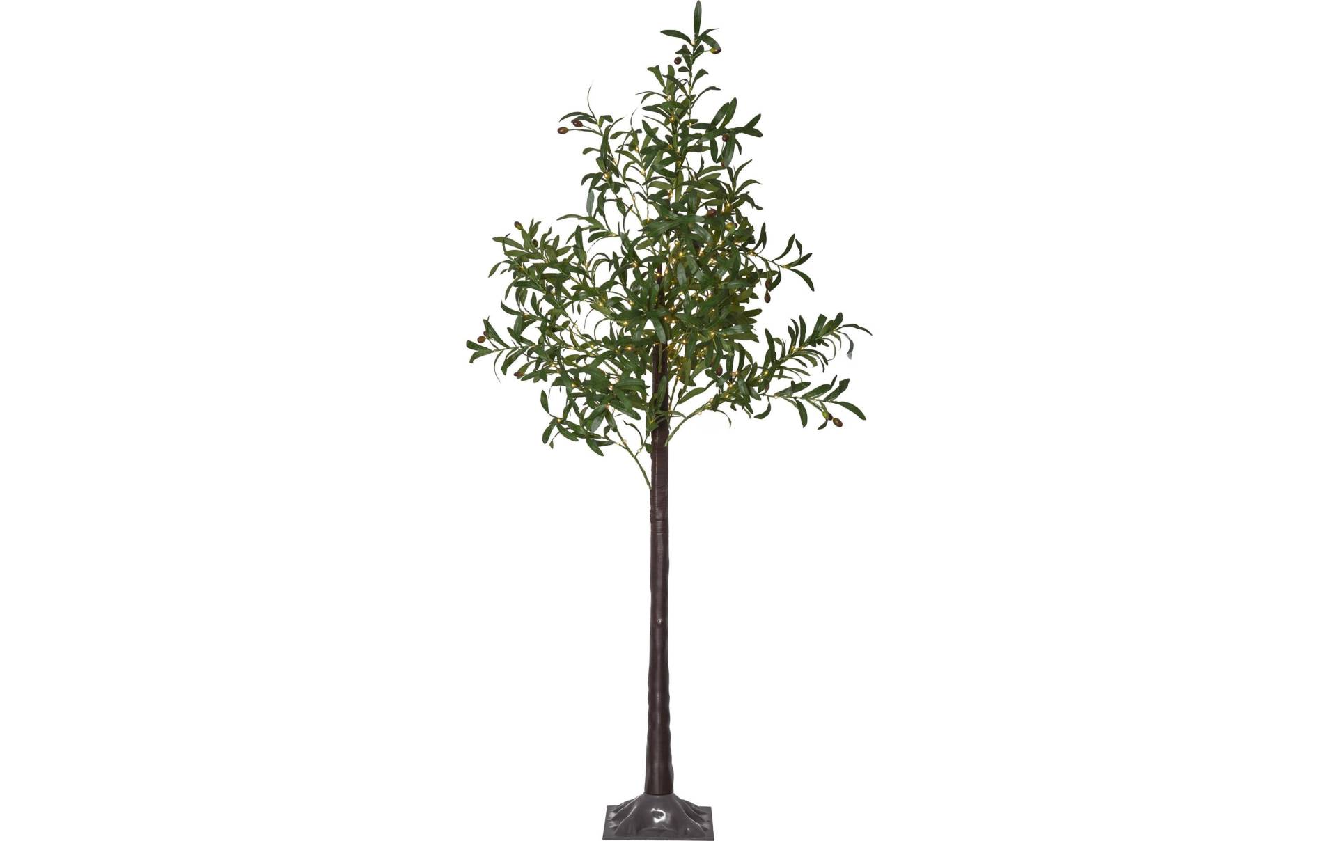 Parforce Traditional Hunting LED Gartenleuchte »Olivec« Parforce Traditional Hunting LED Gartenleuchte »Olivec« von Parforce Traditional Hunting