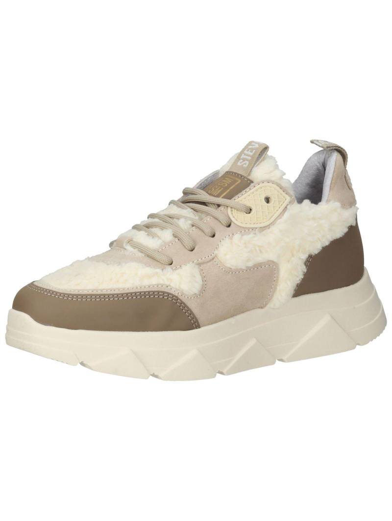 Sneaker Damen Beige 37 von STEVE MADDEN