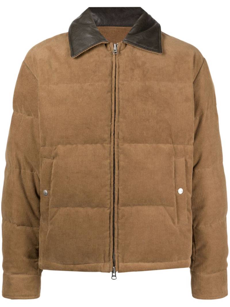 STUDIO TOMBOY contrast-collar corduroy padded jacket - Brown von STUDIO TOMBOY