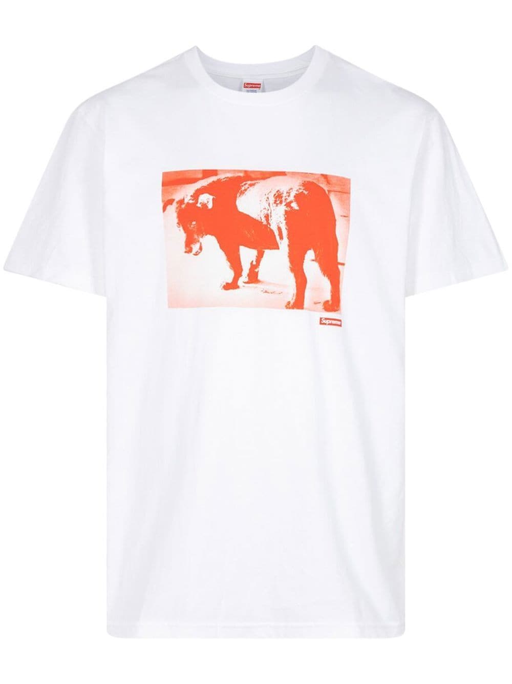 Supreme Daido Moriyama Dog T-shirt - Brown von Supreme