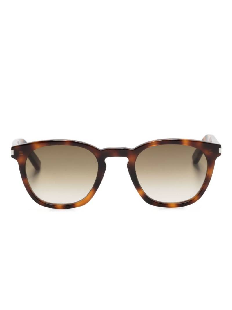 Saint Laurent Eyewear SL28 round-frame sunglasses - Brown von Saint Laurent Eyewear