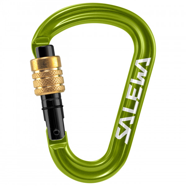 Salewa - HMS Pro Carabiner - HMS-Karabiner oliv von Salewa