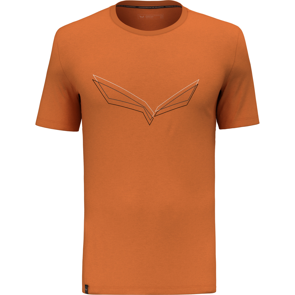 Salewa Herren Pure Eagle Frame Dry T-Shirt von Salewa