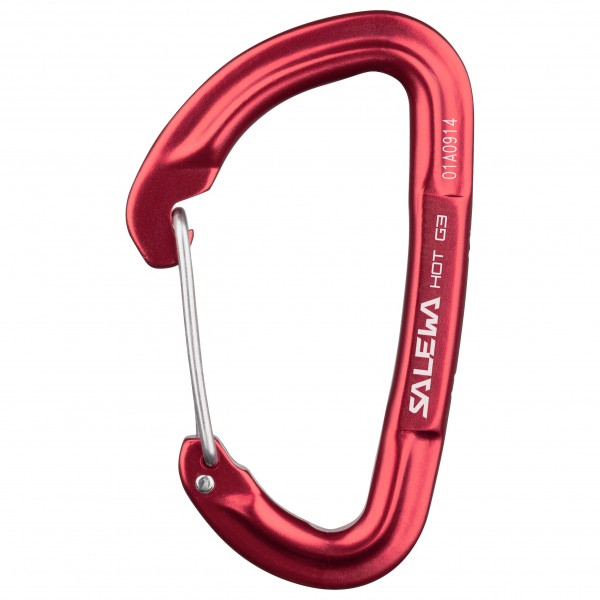 Salewa - Hot G3 Wire Carabiner - Schnappkarabiner oliv von Salewa