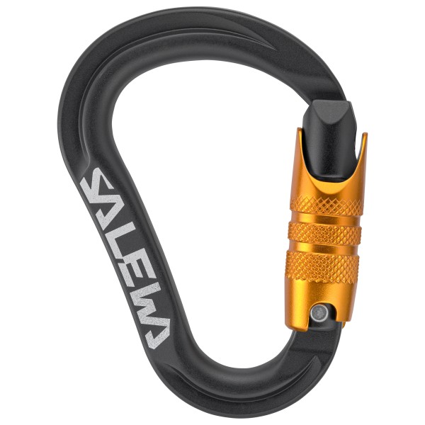Salewa - Ortles HMS C.3 S Carabiner - HMS-Karabiner grau von Salewa