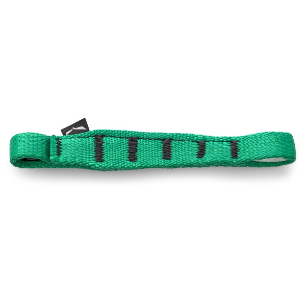 Salewa - Ortles QD Sling 170 - Express-Schlinge Gr 170 mm türkis von Salewa