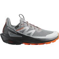 SALOMON Herren Speedhikingschuhe Elixir Activ GTX grau | 43 1/3 von Salomon