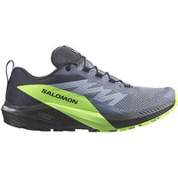 SALOMON Herren Traillaufschuhe Sense Ride 5 GTX blau | 47 1/3 von Salomon