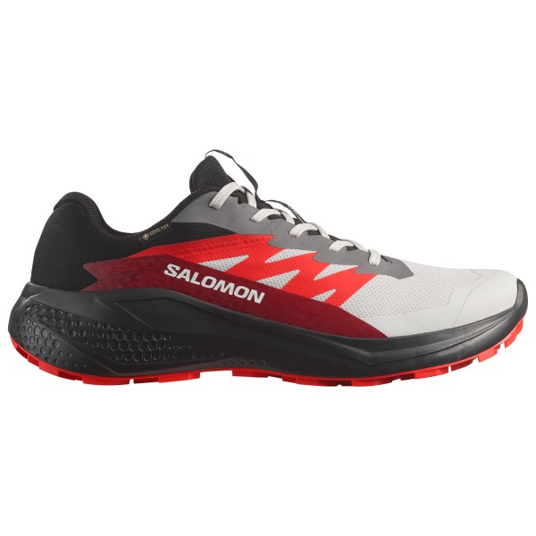 Salomon - Alphaglide GORE-TEX - Trailrunningschuhe Gr 7 schwarz Salomon - Alphaglide GORE-TEX - Trailrunningschuhe Gr 7 schwarz von Salomon