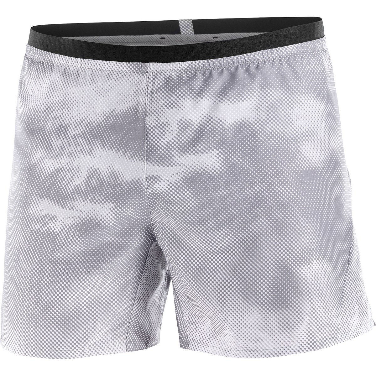 Salomon Herren Cross 5" AOP Shorts von Salomon