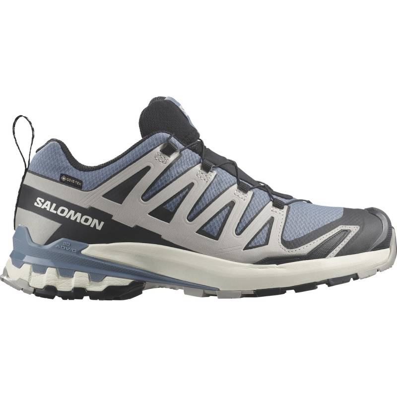 Salomon Herren Xa Pro 3D V9 GTX Schuhe von Salomon