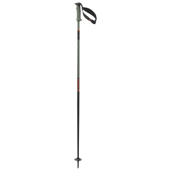 Salomon - Polar Pro S3 - Skistöcke Gr 120 cm grün Salomon - Polar Pro S3 - Skistöcke Gr 120 cm grün von Salomon