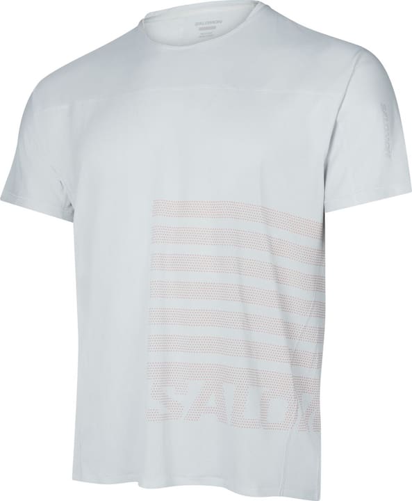 Salomon Senso Aero GFK T-Shirt hellgrau von Salomon