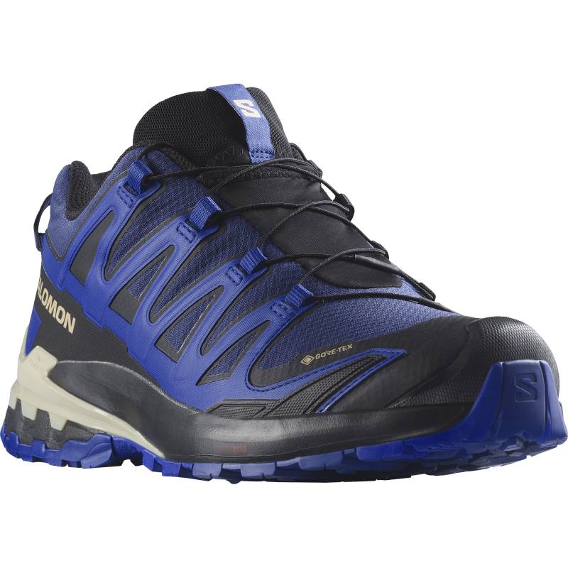 Salomon Trailrunningschuh »XA PRO 3D V9 GORE-TEX« von Salomon