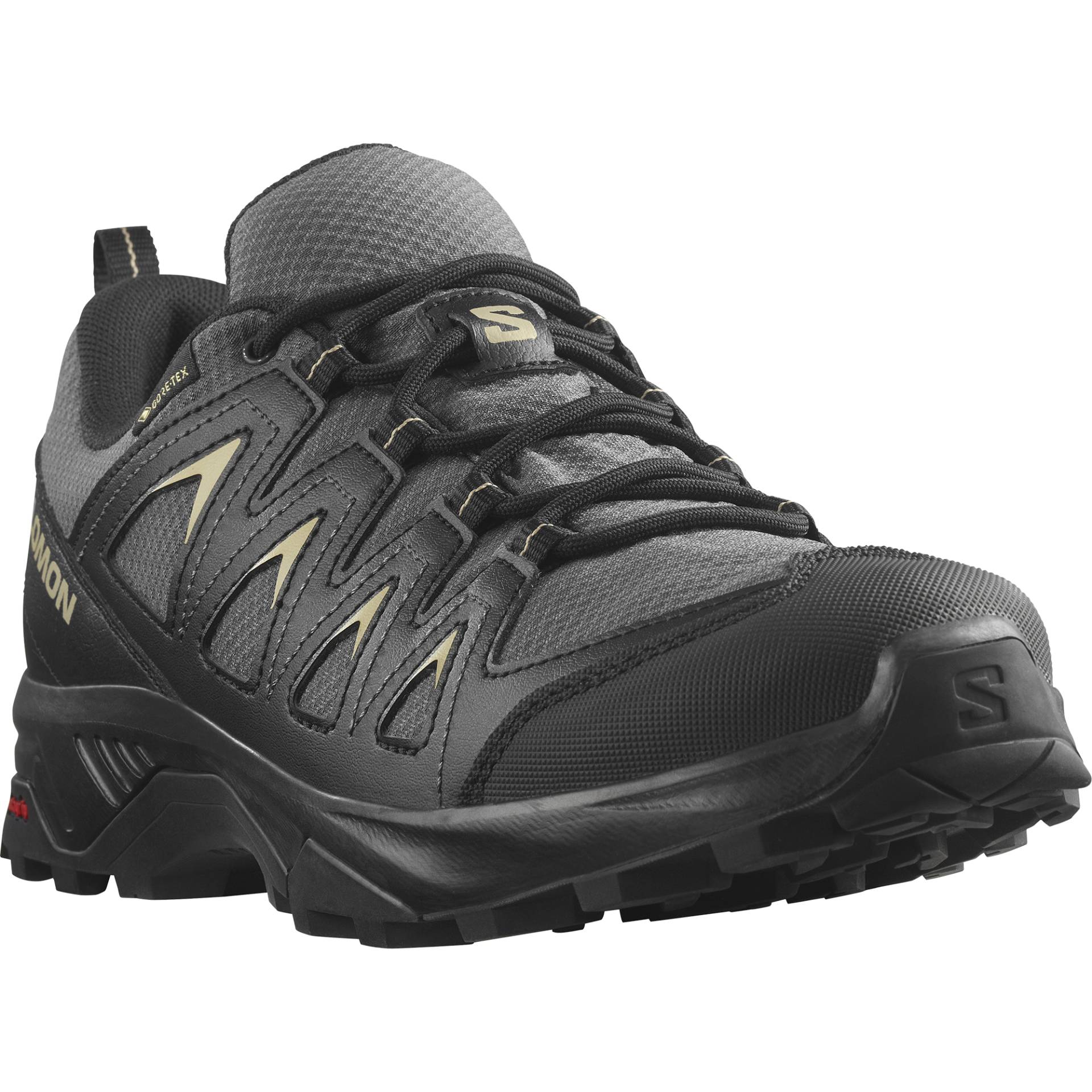 Salomon Wanderschuh »X BRAZE GORE-TEX« von Salomon