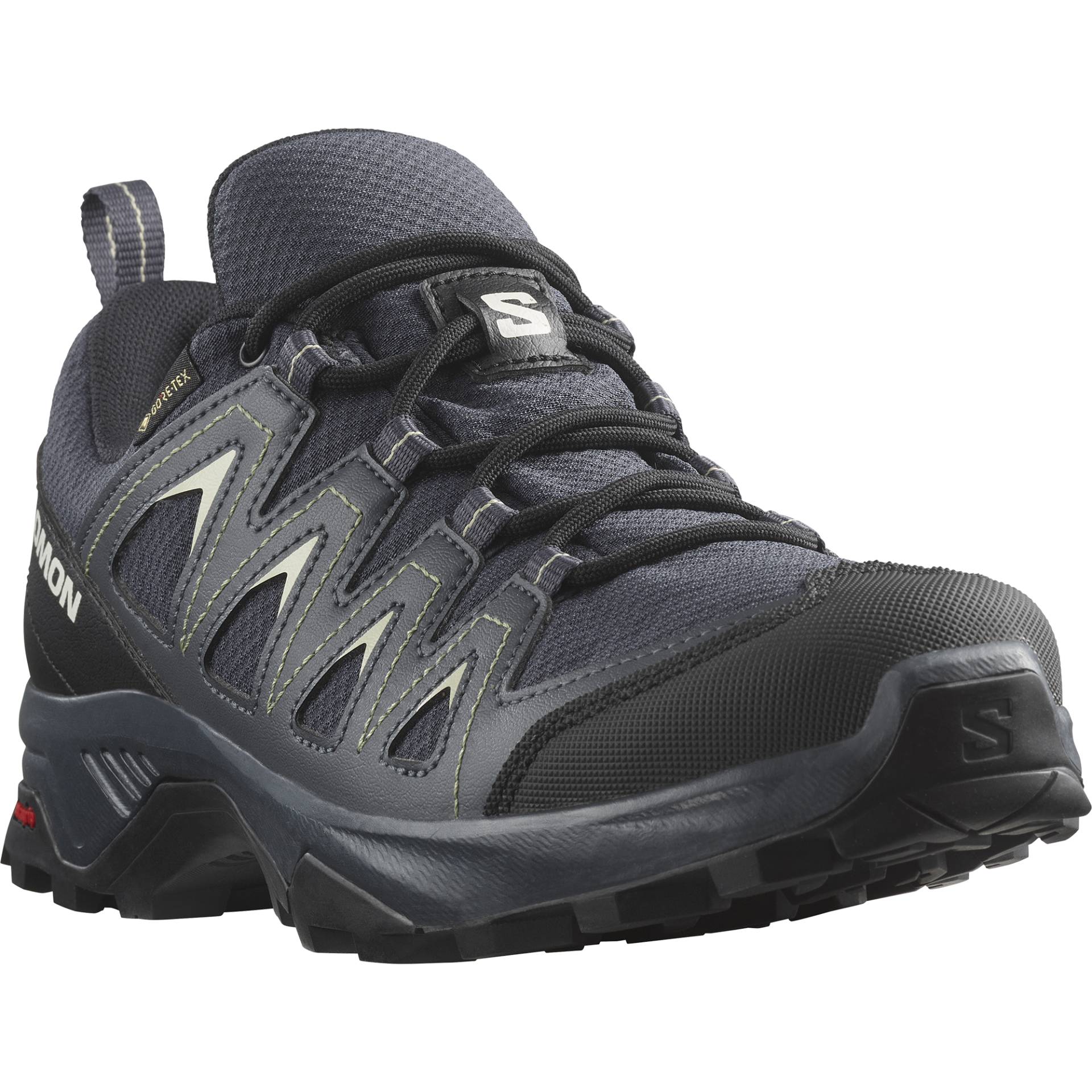 Salomon Wanderschuh »X BRAZE GORE-TEX« von Salomon