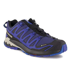 Salomon Xa Pro 3D GoreTex Herren Outdoorschuh Blau von Salomon