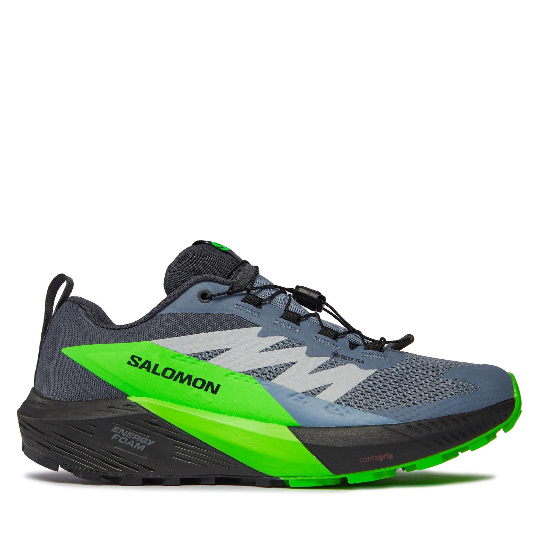 Schuhe Salomon Sense Ride 5 GORE-TEX L47312800 Flint Stone/Black/Green Gecko von Salomon