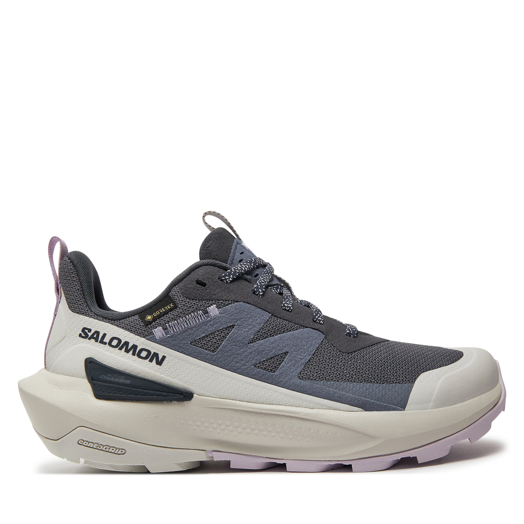 Trekkingschuhe Salomon Elixir Activ Gore-Tex L47526500 India Ink / Glacier Gray / Orchid Petal von Salomon