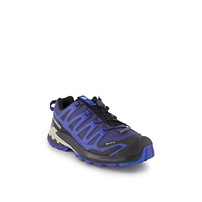 XA Pro 3D V9 Gore-Tex® Herren Trekkingschuh von Salomon