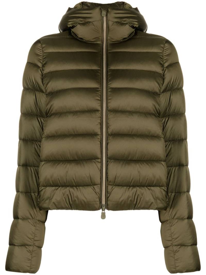 Save The Duck Iris padded jacket - Green von Save The Duck