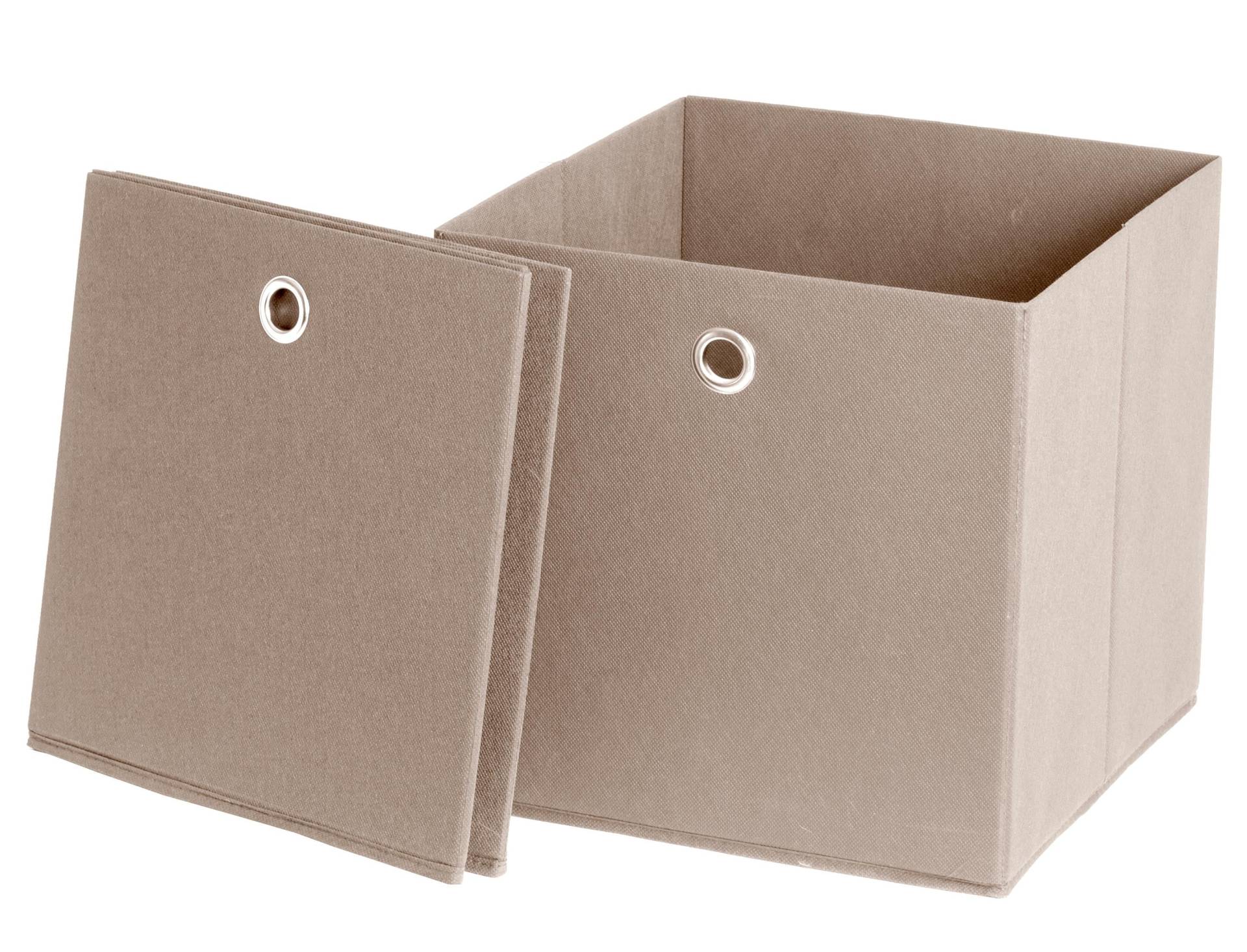 Schildmeyer Faltbox »Box« von Schildmeyer
