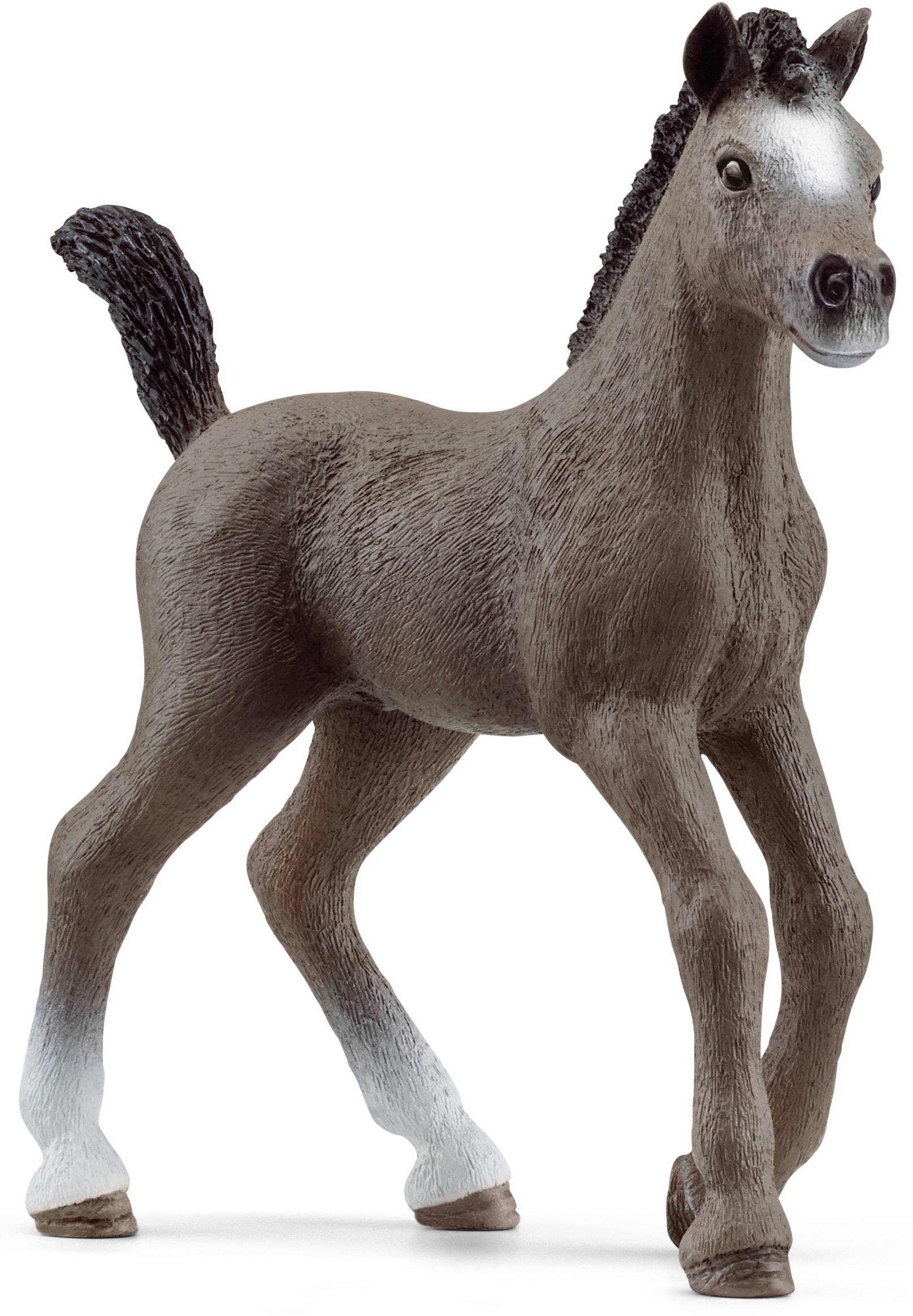 Schleich® Spielfigur »HORSE CLUB, Cheval de Selle Francais Fohlen (13957)« von Schleich®