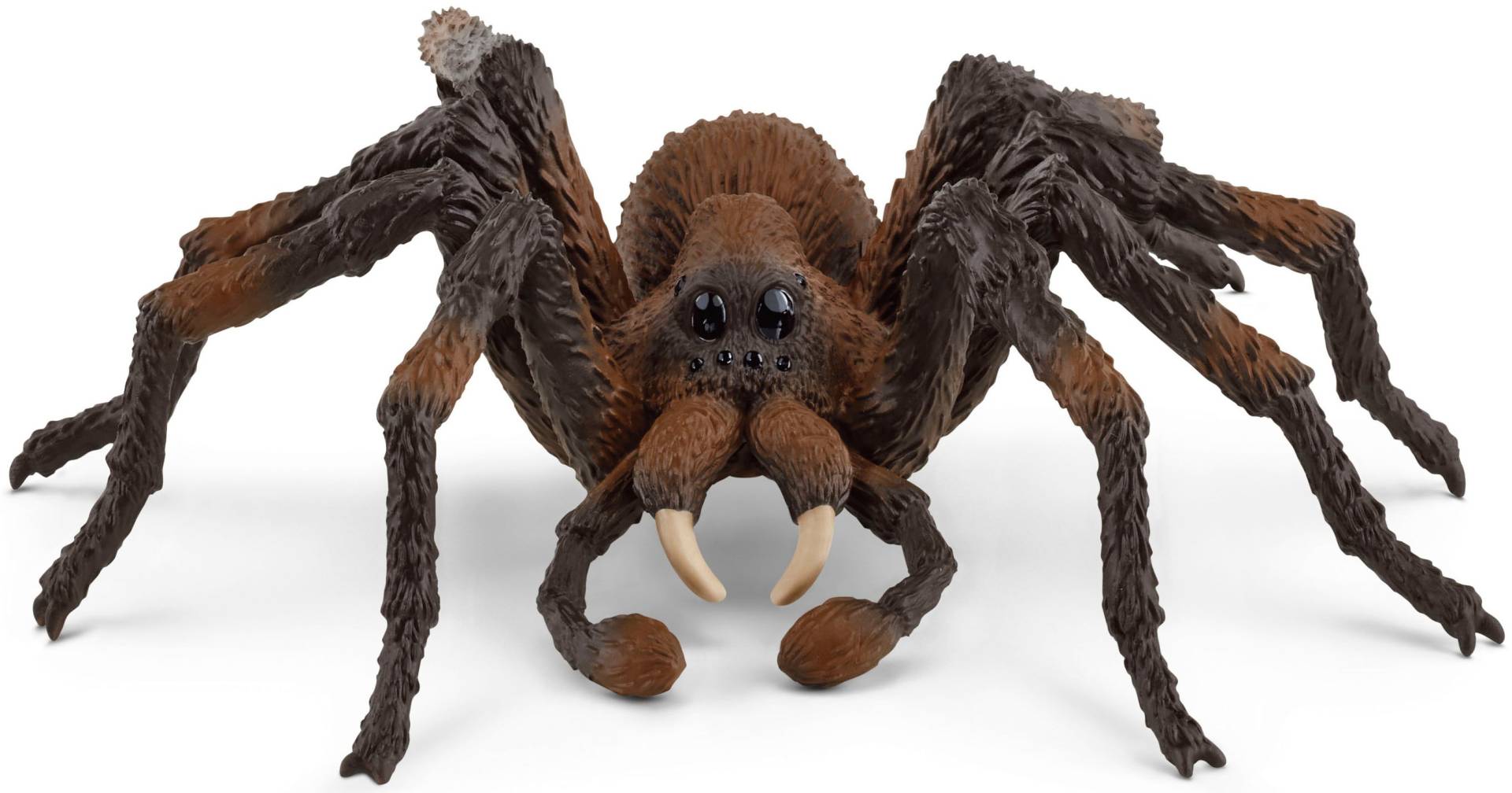 Schleich® Spielfigur »WIZARDING WORLD, Harry Potter™, Aragog (13987)« von Schleich®