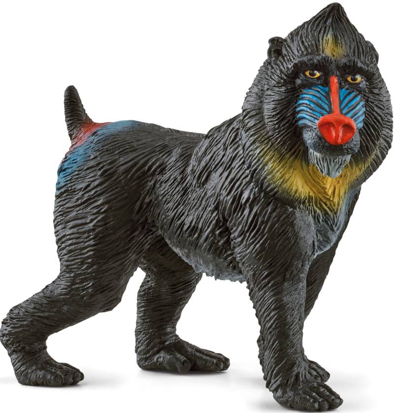 Schleich® Spielfigur »WILD LIFE, Mandrill (14856)« von Schleich®