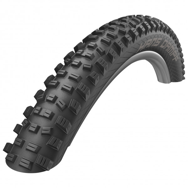 Schwalbe - Hans Dampf Perf. 29'' (60-622) Twinskin FB TLR - Pneus Gr 29'' x 2,35'' - 60-622 von Schwalbe