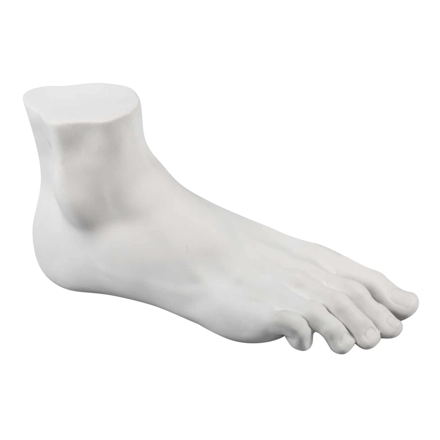Memorabilia Museum Male Foot Skulptur Memorabilia Museum Male Foot Skulptur von Seletti