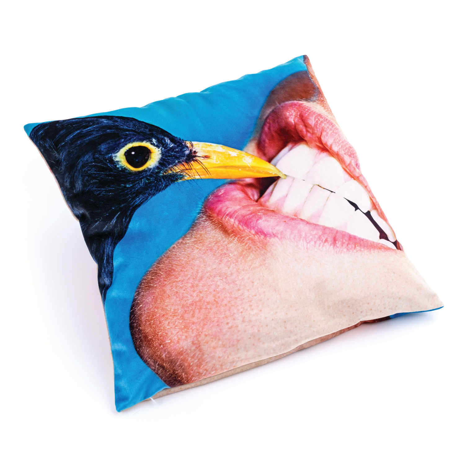 Pillow - Toiletpaper Dekokissen , Motiv krähe Pillow - Toiletpaper Dekokissen , Motiv krähe von Seletti