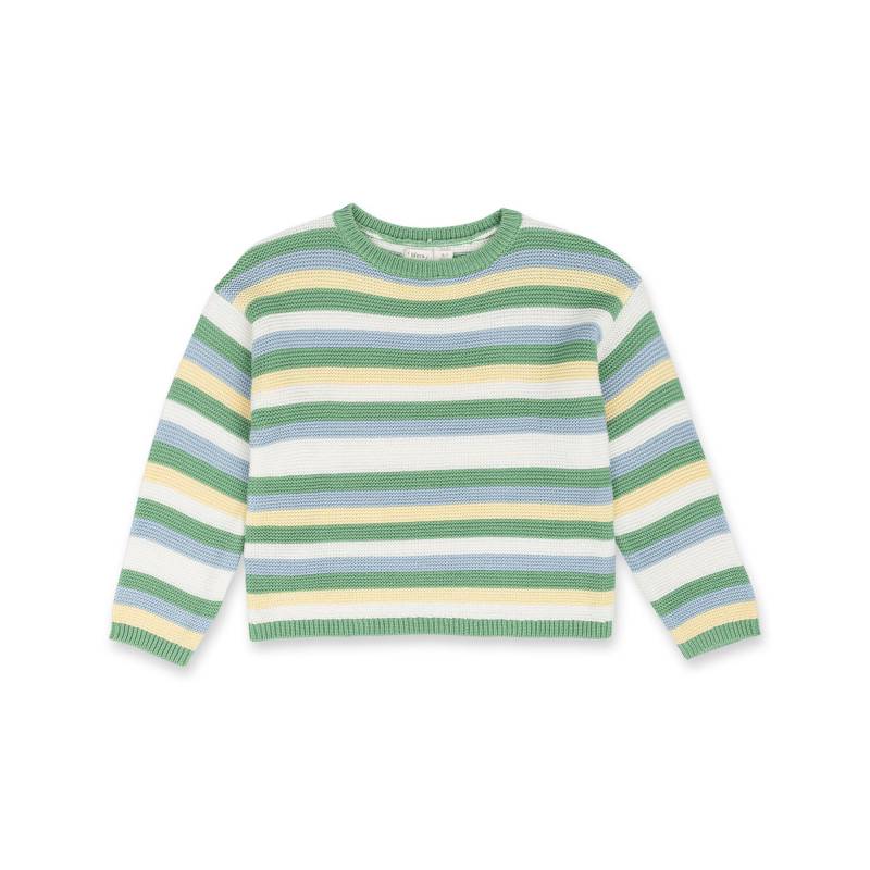 Pullover Mädchen Grün 134-140 von Sfera