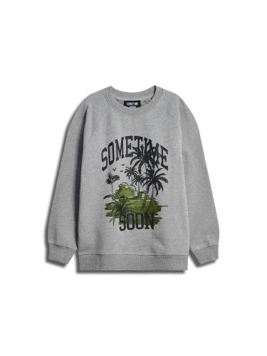 Sometime Stspalm Sweatshirt - grey melange (Grösse: 134) von Sometime