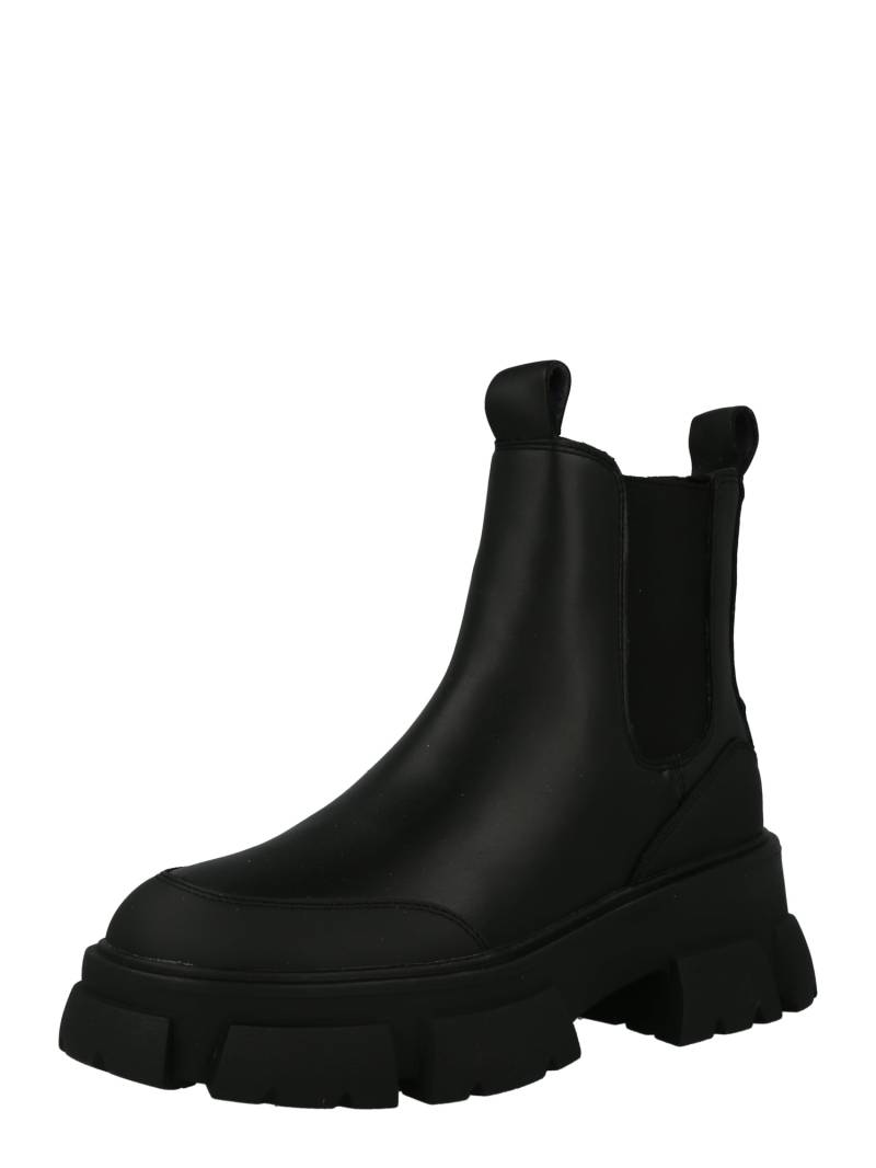 Chelsea Boots von Steve Madden