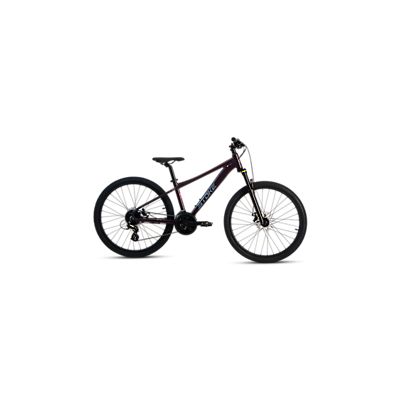 Pinch 26 Kinder Mountainbike 2024 von Stoke