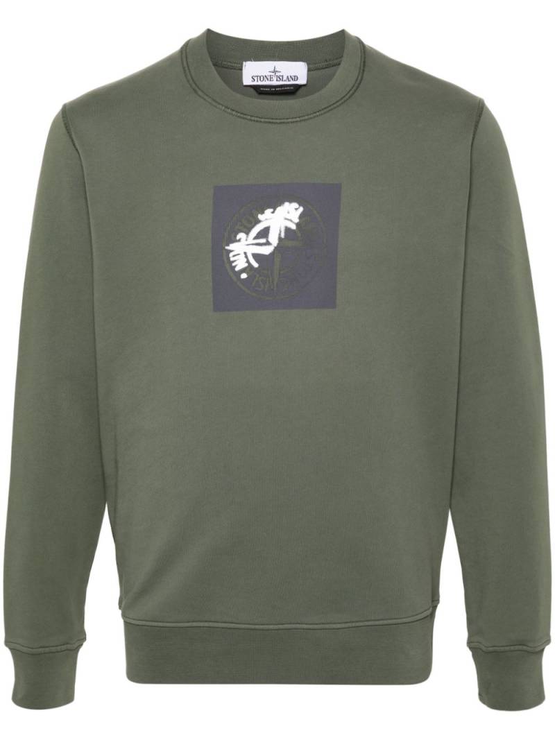 Stone Island Compass cotton sweatshirt - Green von Stone Island