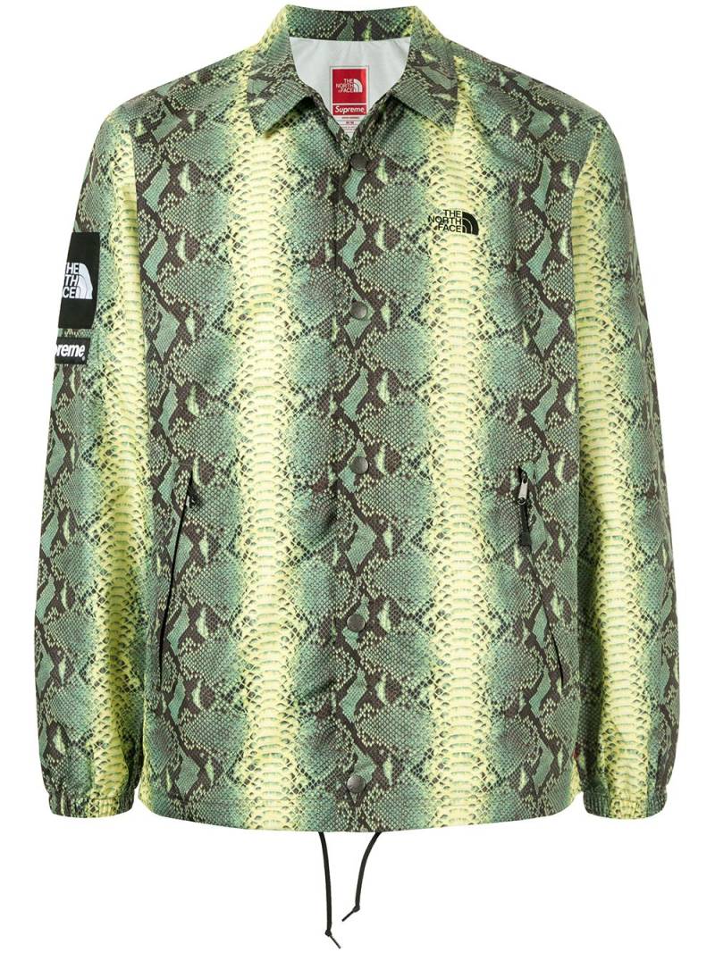 Supreme x The North Face snakeskin-print taped seam jacket - Green von Supreme