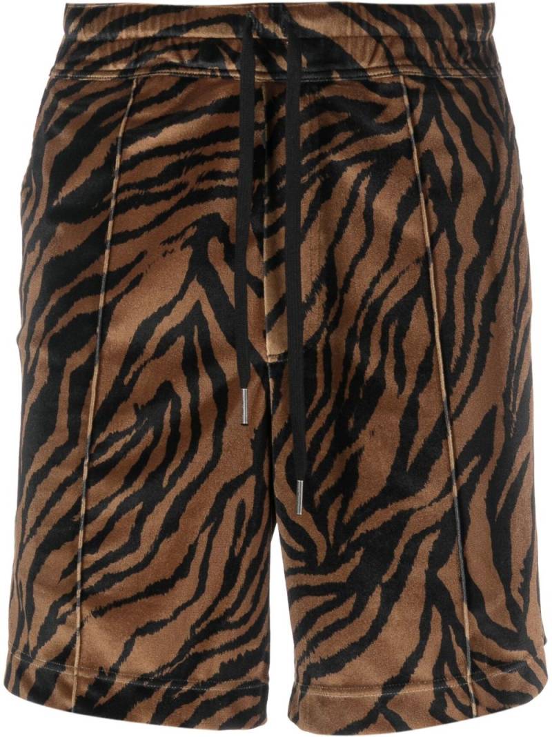 TOM FORD zebra-print cotton shorts - Brown von TOM FORD