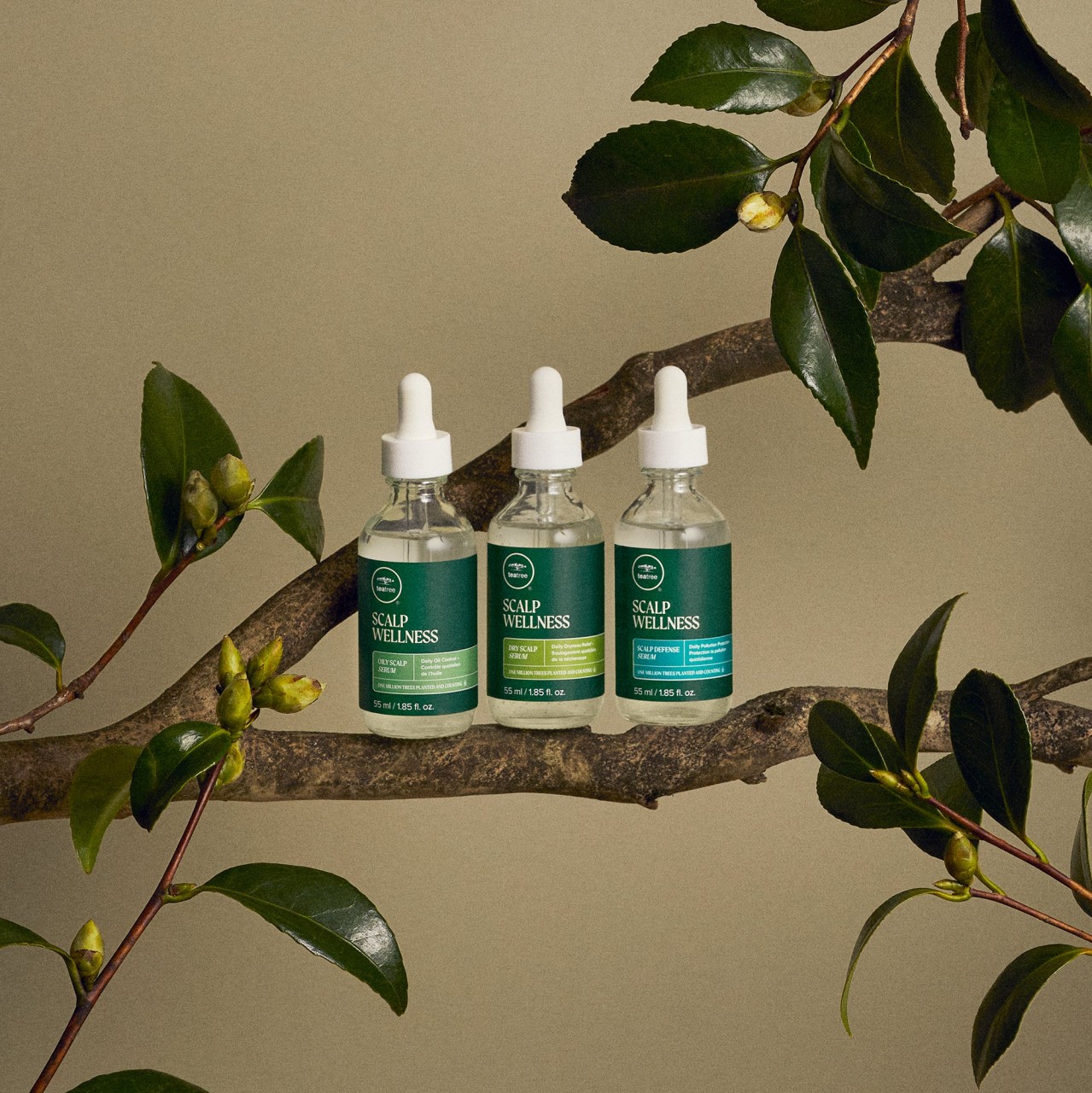 Tea Tree Scalp Wellness - Dry Scalp Serum Tea Tree Scalp Wellness - Dry Scalp Serum von Tea Tree