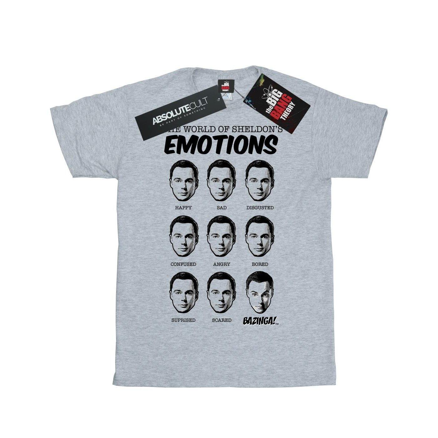 Emotions Tshirt Damen Grau 3XL von The Big Bang Theory